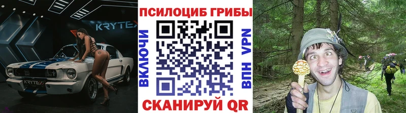 дарнет шоп  Ак-Довурак  Галлюциногенные грибы Cubensis 